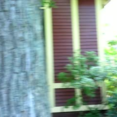 Brewster Ladies Library