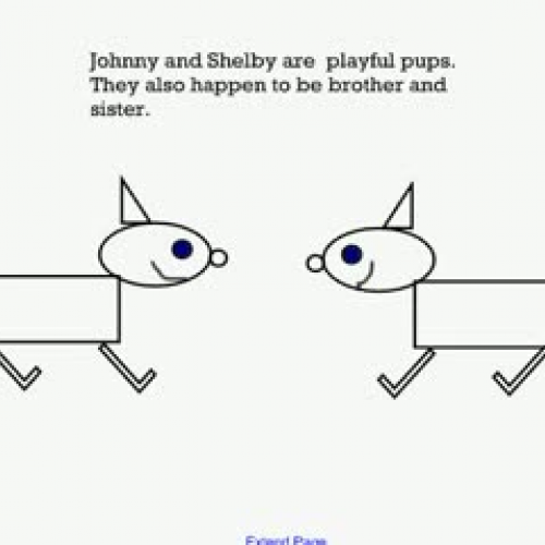 Johnny and Shelby's Magical Mathematical Adve