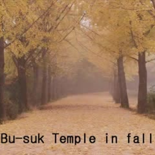 SOO(beautiful YEONGJU)