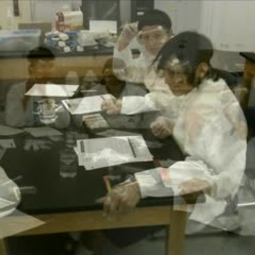 Chemical Rxn Lab