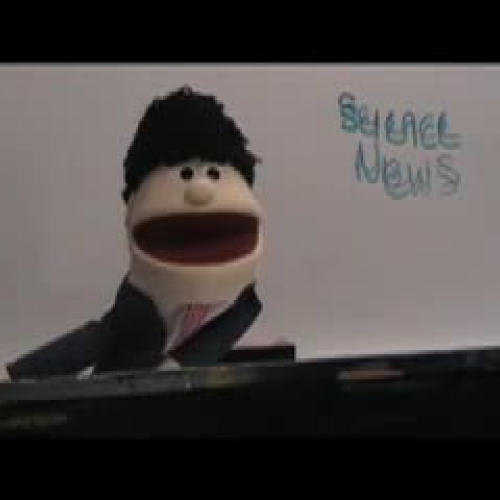 Newtons Laws of Motion