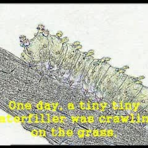 jealousy caterpillar