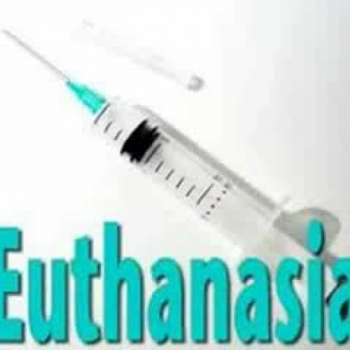 Euthanasia - Social and Christian attitudes