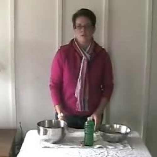 Build a Thermometer Lab