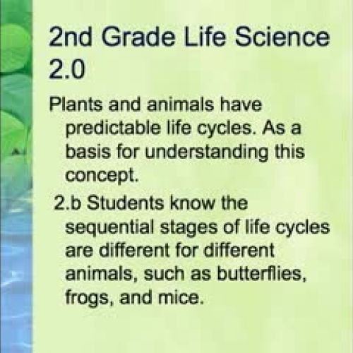 Life Cycle Intro