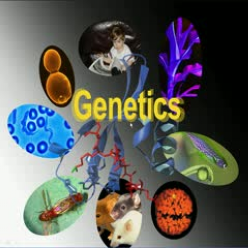 Module 1 video - History of Genetics