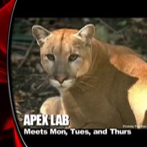 Wednesday September 2