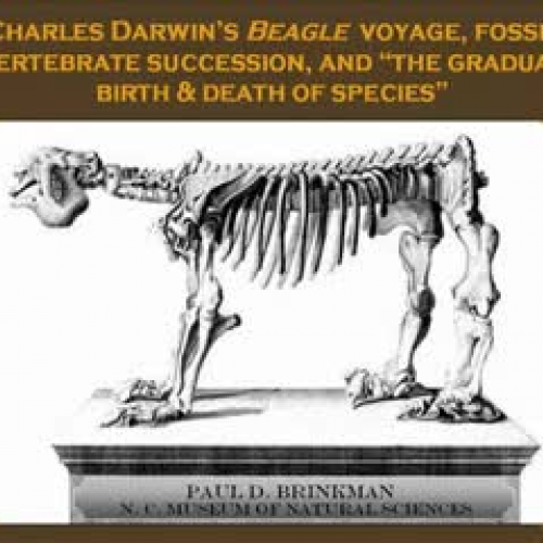 Charles Darwin's Beagle voyage, fossil verteb