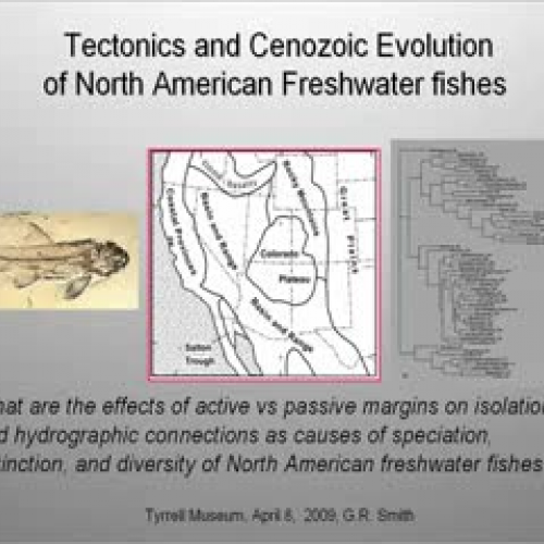 Tectonic causes of fish species diversity pat