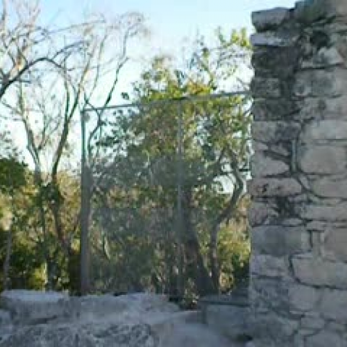 Coba Mexico 6