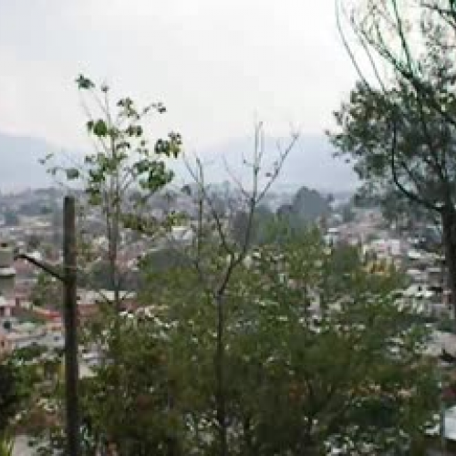 San Cristobal Mexico 2