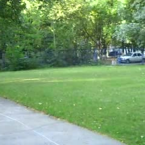 The Day of Knowledge