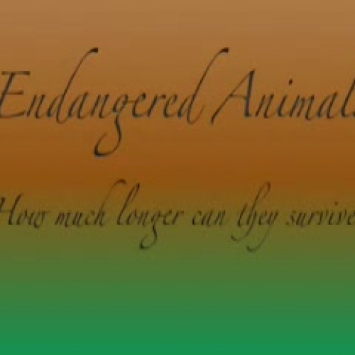 Endangered Animals