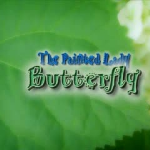 Butterfly Movie