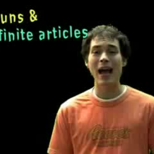 01025 Spanish Lesson Nouns Definite Articles