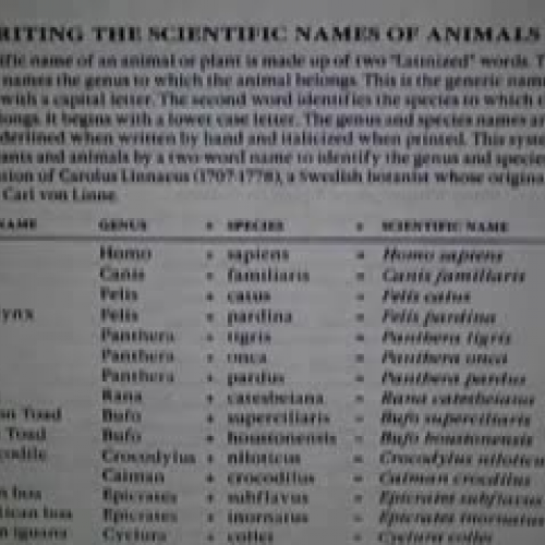 Scientific Names