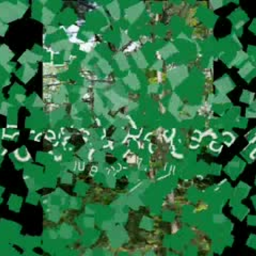 Recreational Opportunities - Forests