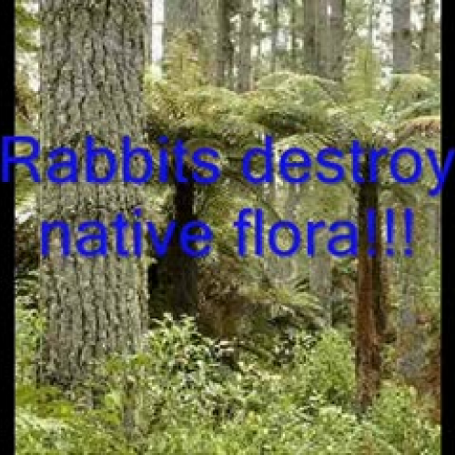 Paloma, Kaleb &amp; Tahni