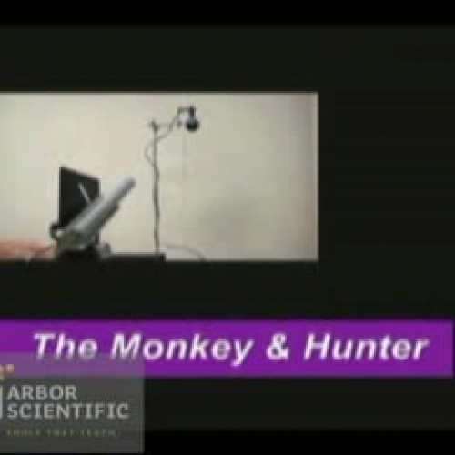 The Monkey and Hunter Demo