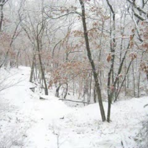 Kayleigh Nauracy - Digital Storytelling Proje