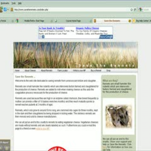 Going on a Treasure Hunt