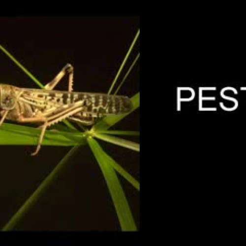 Biological Control of Fire Ant