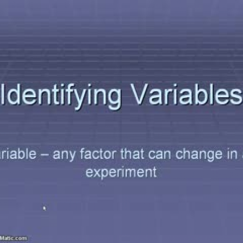 STES Identifying Variables