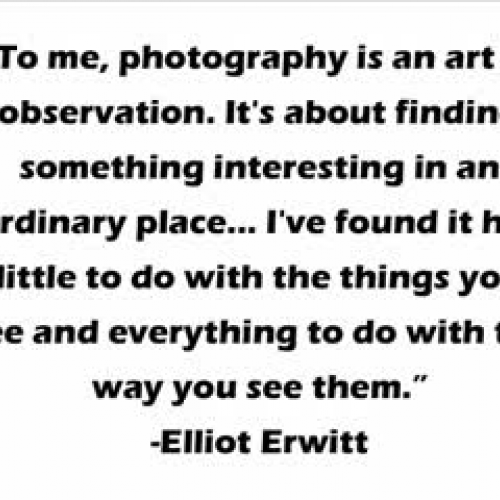 Photography field trip