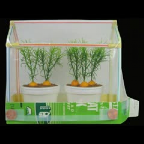 Greenhouse , LooLeDo.com