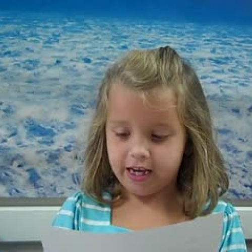 Flip Camera PreSurvey