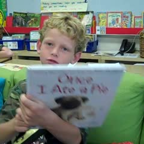 Flip Camera - Mascot