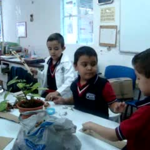 FESTIVIDADES SEPTIEMBRE