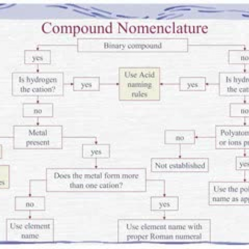 McEachern Nomenclature Flowchart