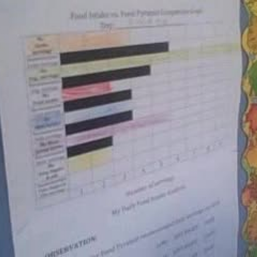 Sunny interprets her nutrition data