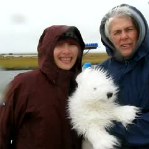 For the Love of Science