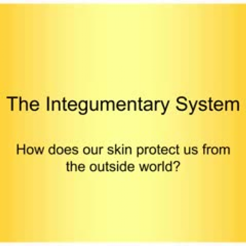 Skin Function Lecture