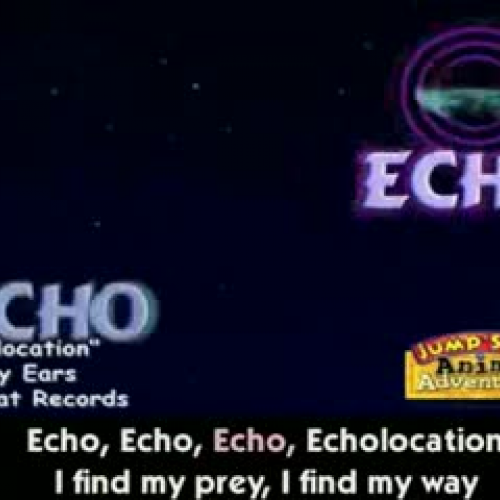 Echolocation