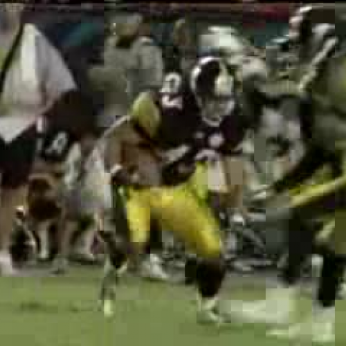 Troy Polamalu Testimony