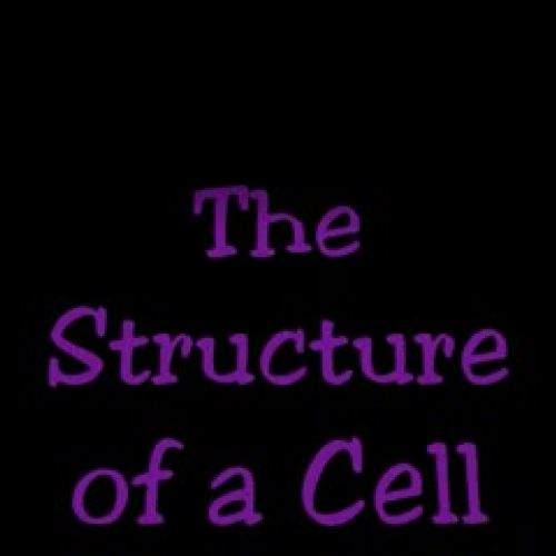 The Structure of a Cell