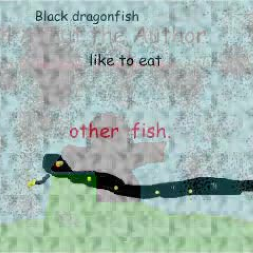 Black Dragon Fish