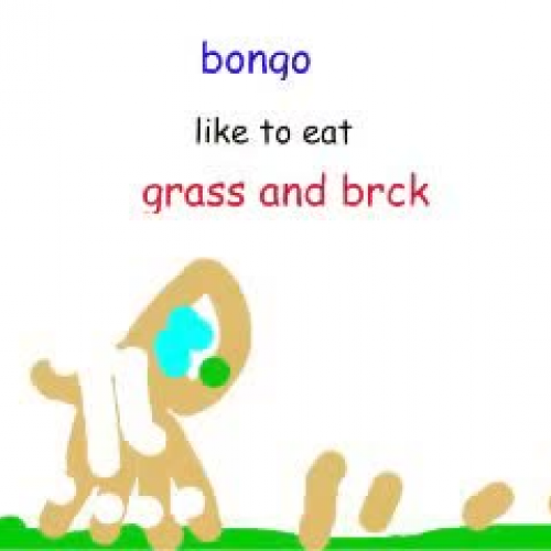 Bongos