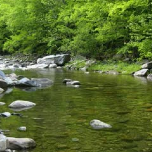 The Snake and the Indian Girl