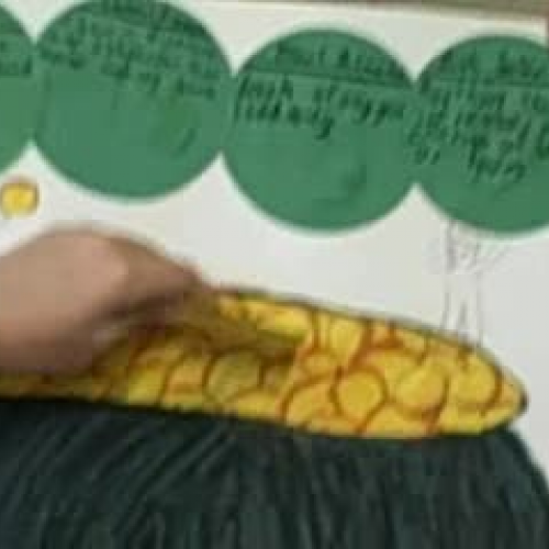 concept web communicable contagious disease