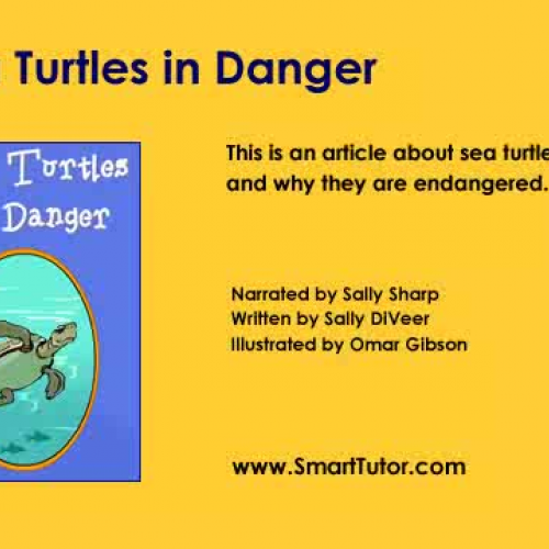 Sea Turtles in Danger , Cause and Effect , Gr
