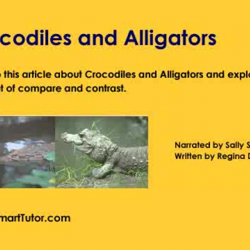 Crocodiles and Alligators , Compare and Contr
