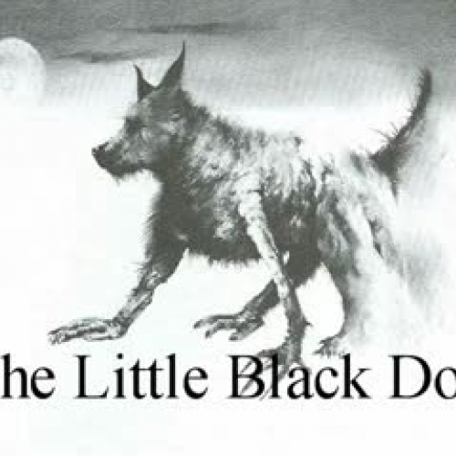 The Little, Black Dog