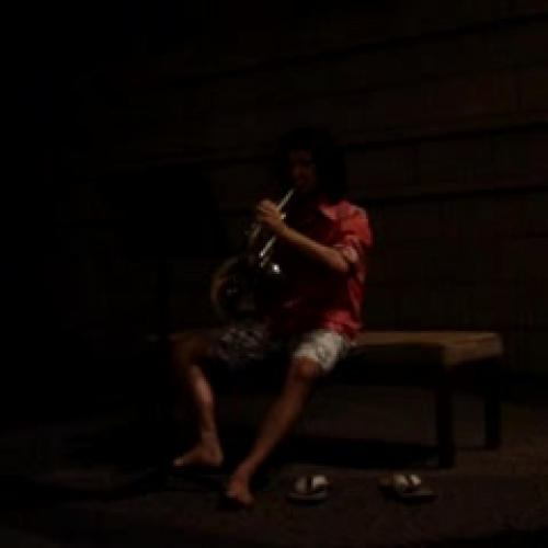 The Carnival of Venice Var 7 &amp; 8