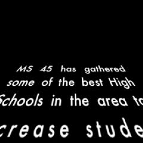 High School Fair MS45