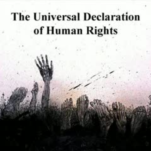 human rights