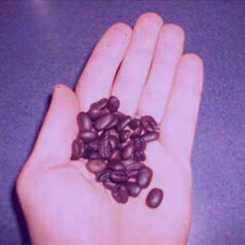 How To Make Coffee